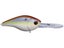 Shad Drone