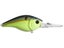 Sexified Chartreuse Shad