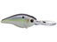 Wild Shad