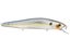 Chrome Threadfin