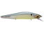 Ghost Bone Minnow