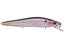 Ghost Threadfin Shad