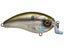 6th Sense Swank 66X Crankbait