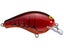 Cooked Crawdad