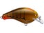 Hot Claw Crawdad