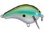 Blue Olive Shad