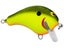 Chartreuse Shad