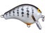 Ghost Gill