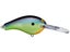 Blue Chartreuse Shad