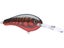 Red Crawdad