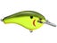 Chartreuse Shad