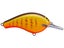 Purple Gill