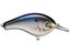 Realistic Shad