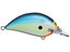 Blue Chartreuse Shad