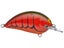 Cooked Crawdad
