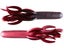 Red Shad