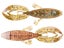 Tilapia Craw