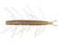 Big Bite Baits Fuzzy Scentsation Stick 5pk