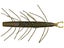 Big Bite Baits Fuzzy Scentsation Stick 5pk
