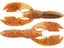 Alabama Craw