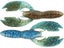Okeechobee Craw
