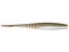 Arkansas Shiner