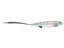 Baitsanity Antidote Broom Walker Topwater 5"