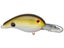 Tennessee Shad