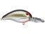 Louisiana Shad