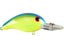 Chartreuse Blue Back