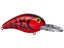 Red Crawfish
