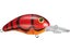 Red Spring Craw