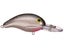 Silver Minnow Sparkle