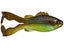 6th Sense BuzzGill 4.0 Creature Bait 6pk