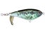 HD Baby Bass