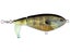 HD Bluegill