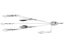 Brown Dog Underdog Umbrella Rig Silver Shad Junior