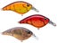 Berkley Frittside 5 Crankbait Pro Pack Kit 3pk