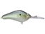 Black Label Cliff Pace 300 Proof Crankbait