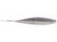 Black Label Cliff Pace Hi Roller Minnow