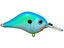 Citris Shad