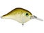 Bill Lewis MR-6 Crankbaits