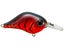 Strawbery Craw