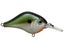 Tennessee Shad