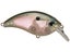 Bill Lewis ATV Squarebill 1.5 Crankbait