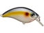 Bill Lewis ATV Squarebill 1.5 Crankbait