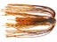 Fall Craw