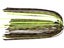 Heartland Craw