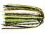 Missouri Craw