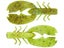 Summer Craw